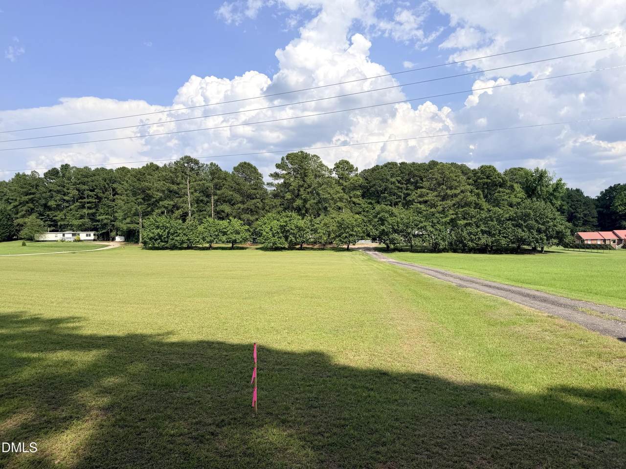 954 Blue Pond Road - Photo 1