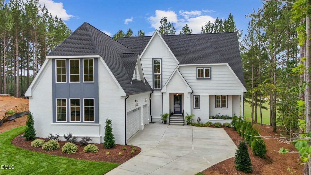 33 Blackhorn Court - Photo 1