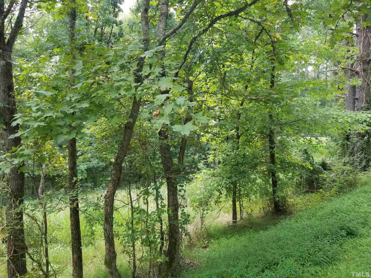 0 Beaver Creek Road - Photo 1