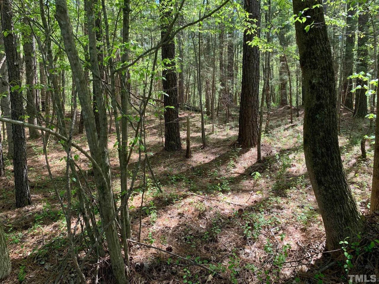 Lot 1 Nc 54 Highway - Photo 1