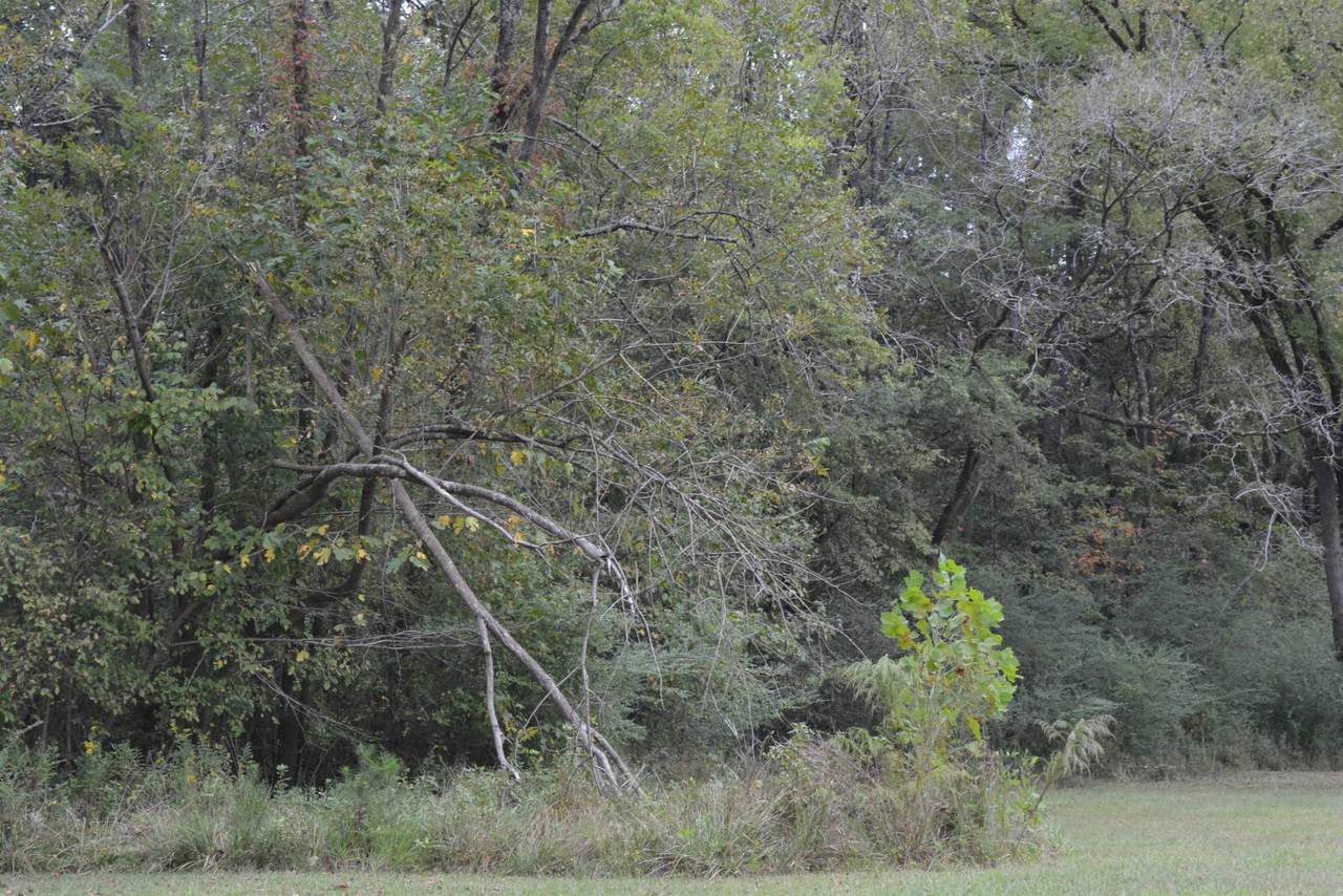 1447 Old Us 1 Road - Photo 1