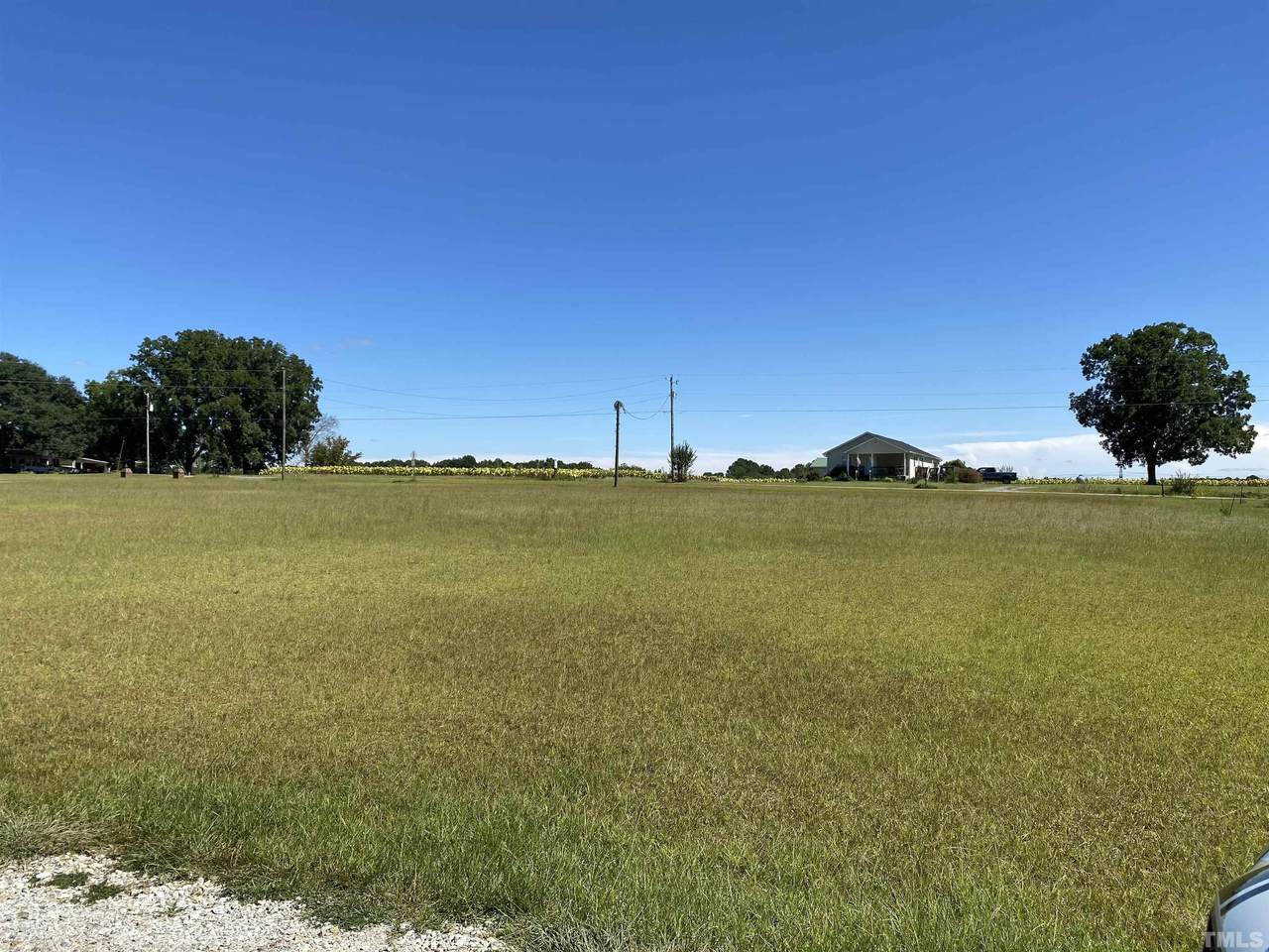 830 Wiggins Road - Photo 1