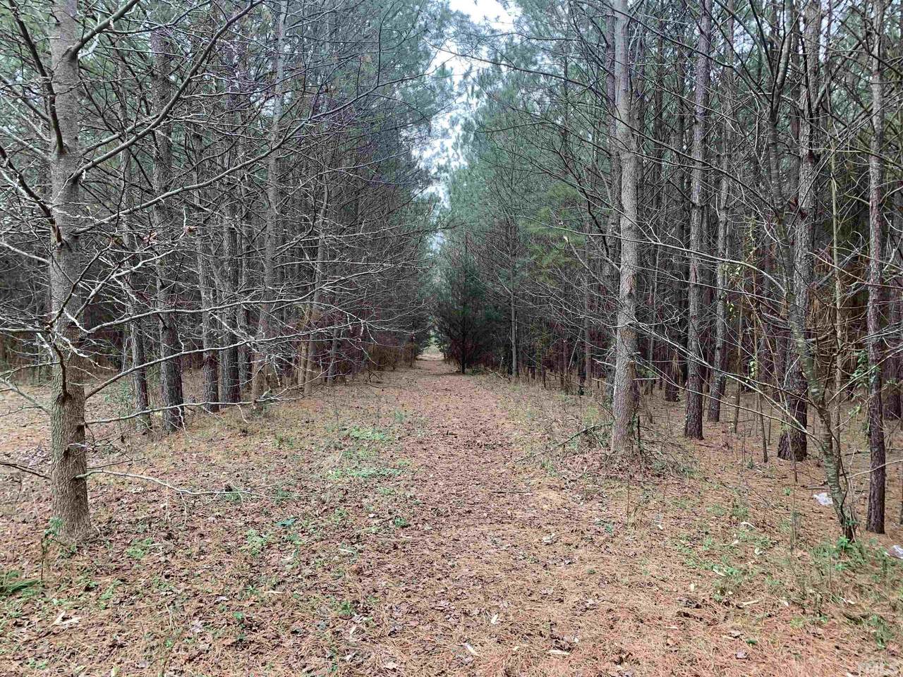 581 Nc 581 Highway - Photo 1