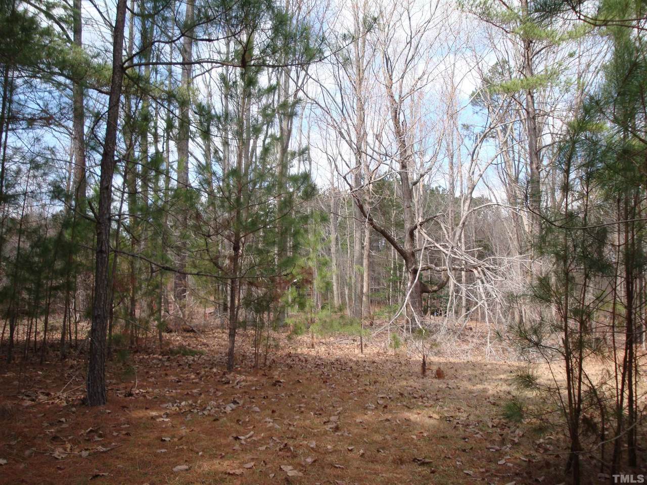0 Buckhorn Road - Photo 1