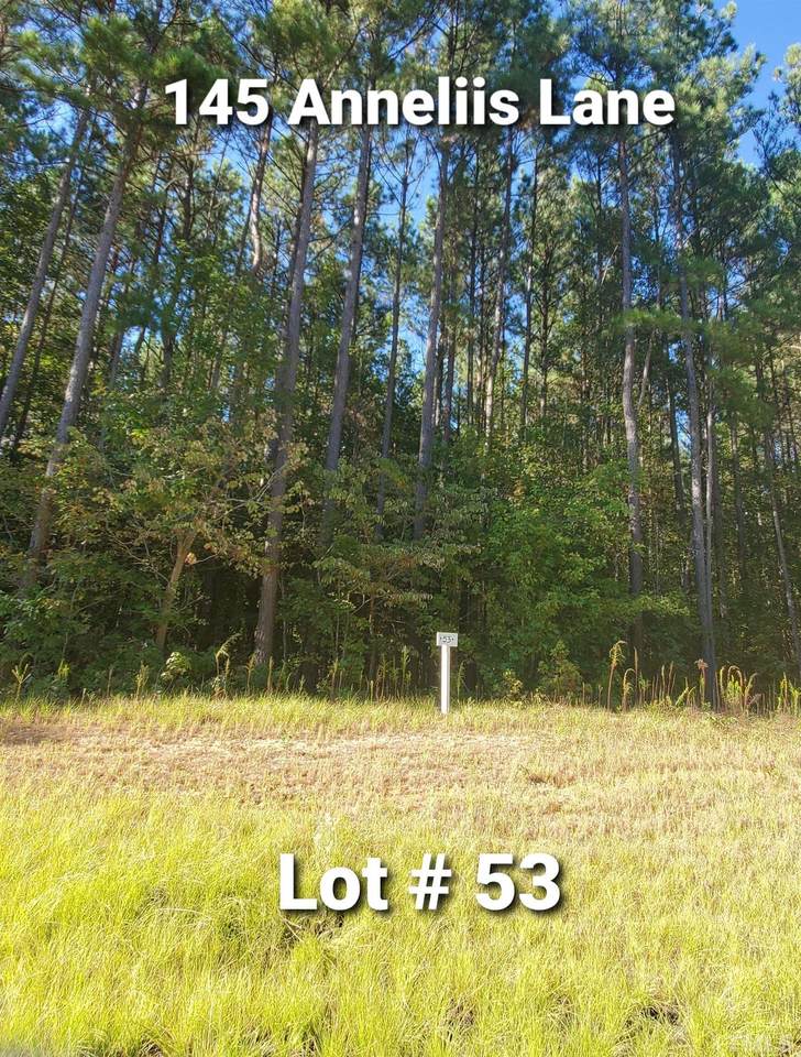 145 Anneliis Lane - Photo 1