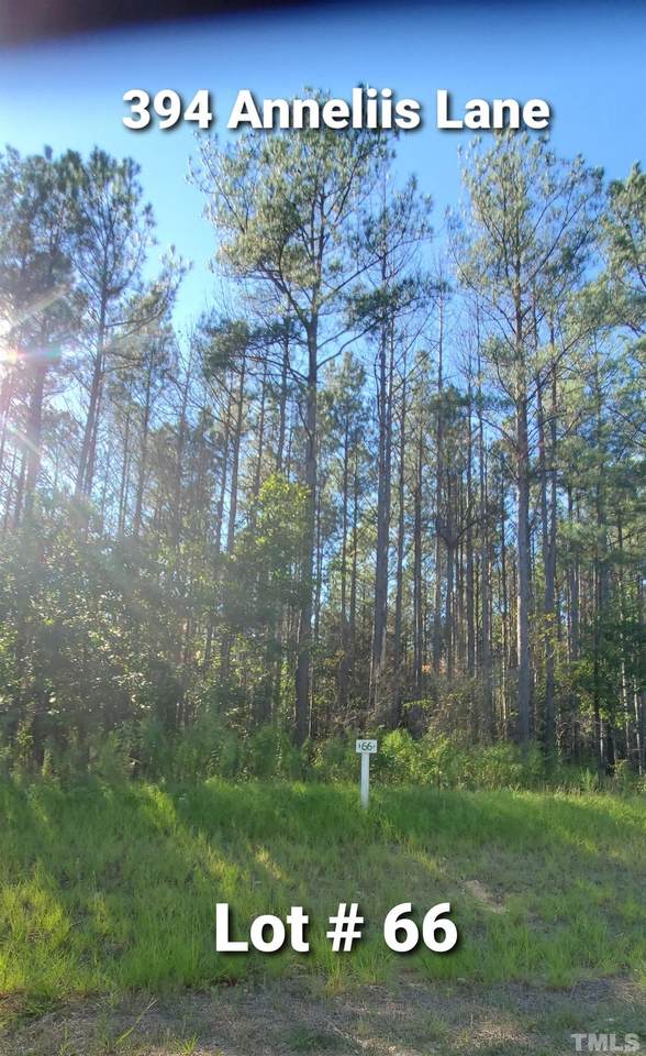 394 Anneliis Lane - Photo 1