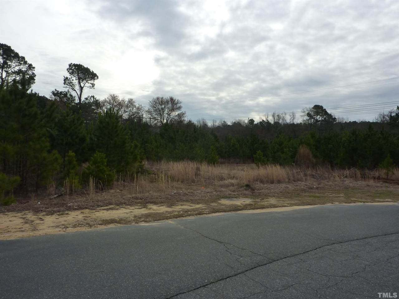 0 Mingo Bluff Boulevard - Photo 1