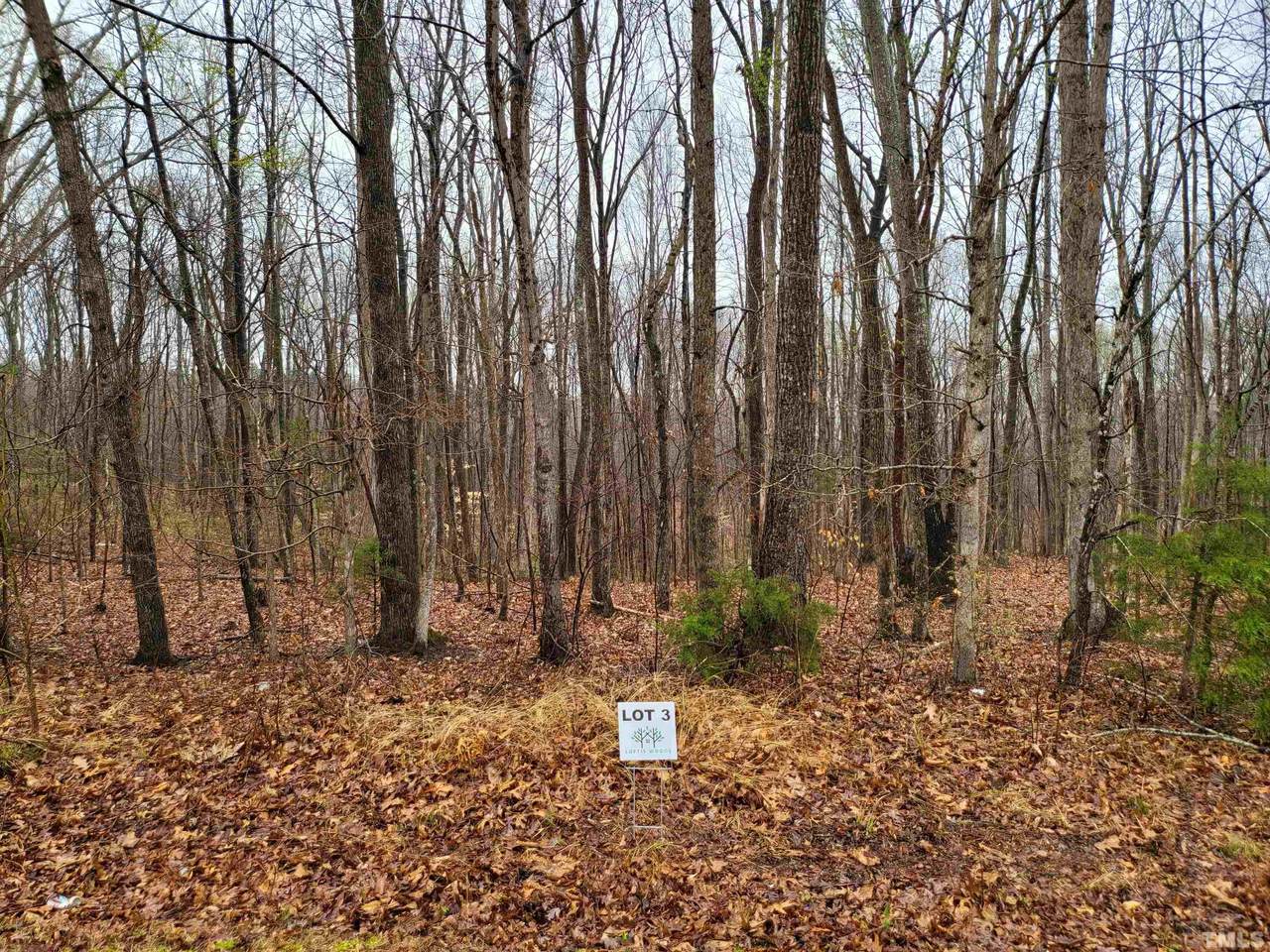Lot 3 Loftis Loop Road - Photo 1
