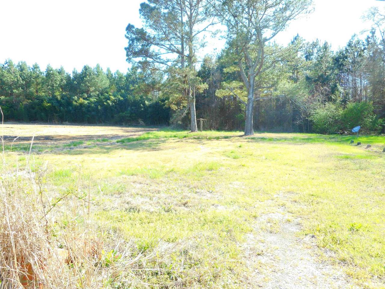 205 Tilghman Street - Photo 1