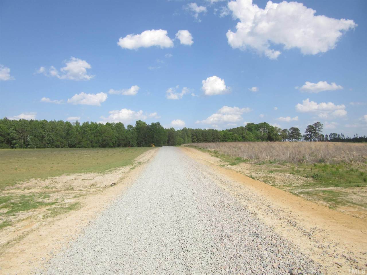 Tr 1 3.16 Acres Nc 231 Highway - Photo 1
