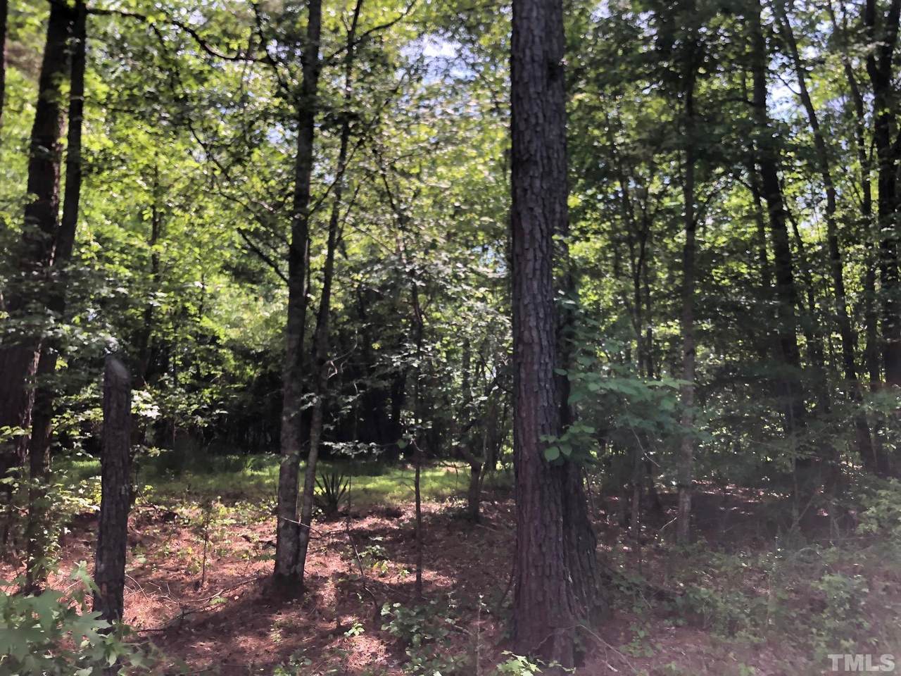 Mt Olive Church Road - Photo 1