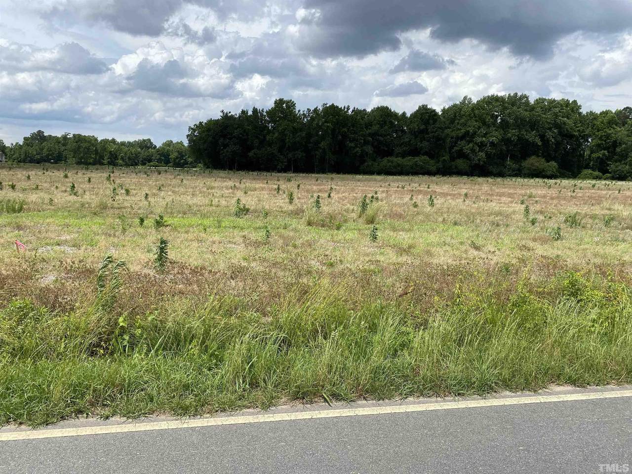 2048 Antioch Road - Photo 1