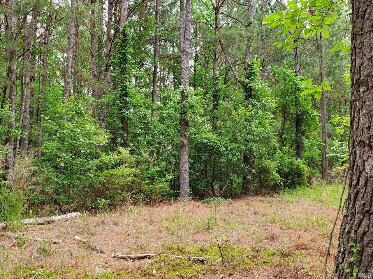 849 Thrush Drive - Photo 1