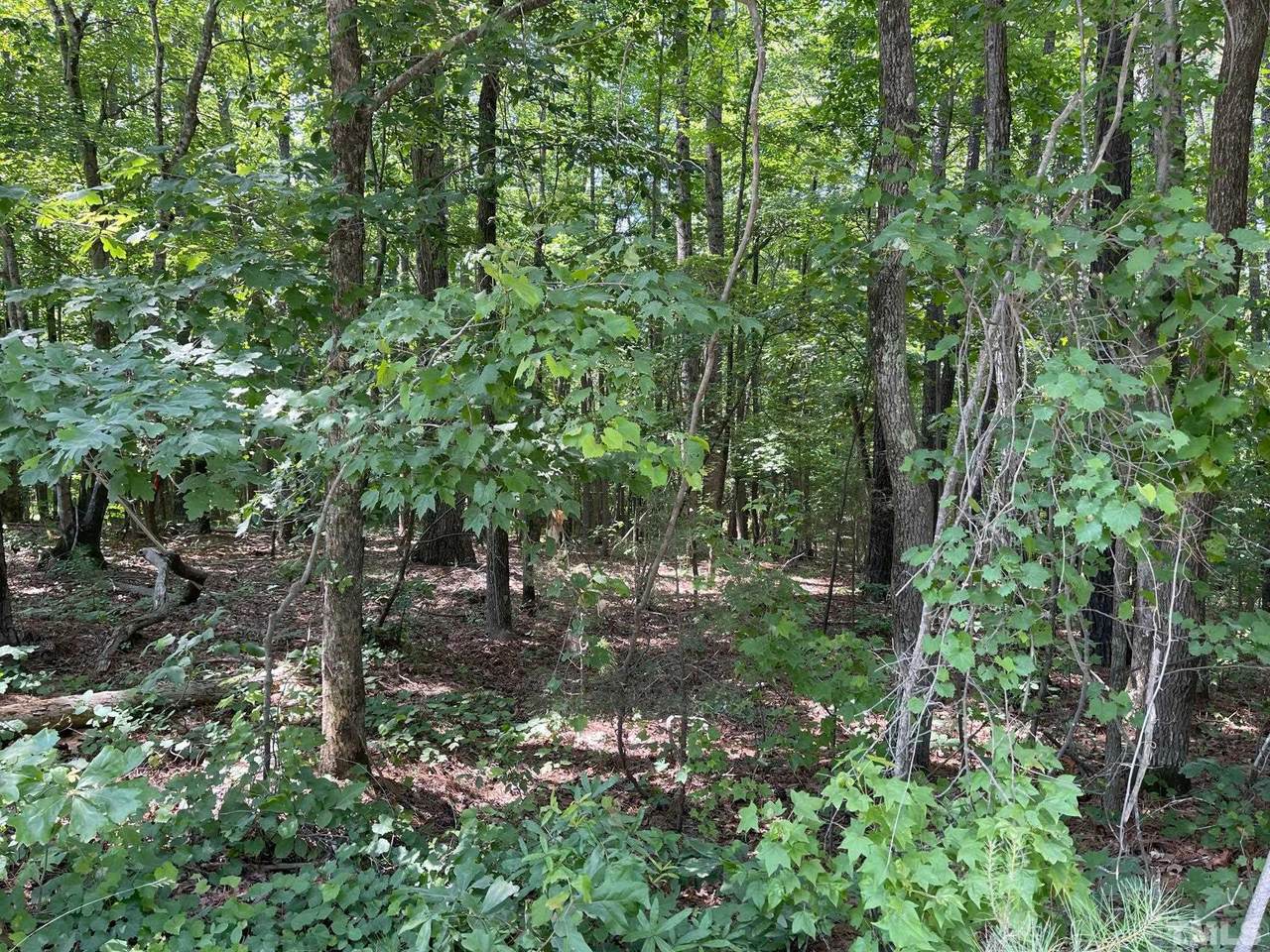 Lot A Arthur Minnis Road - Photo 1