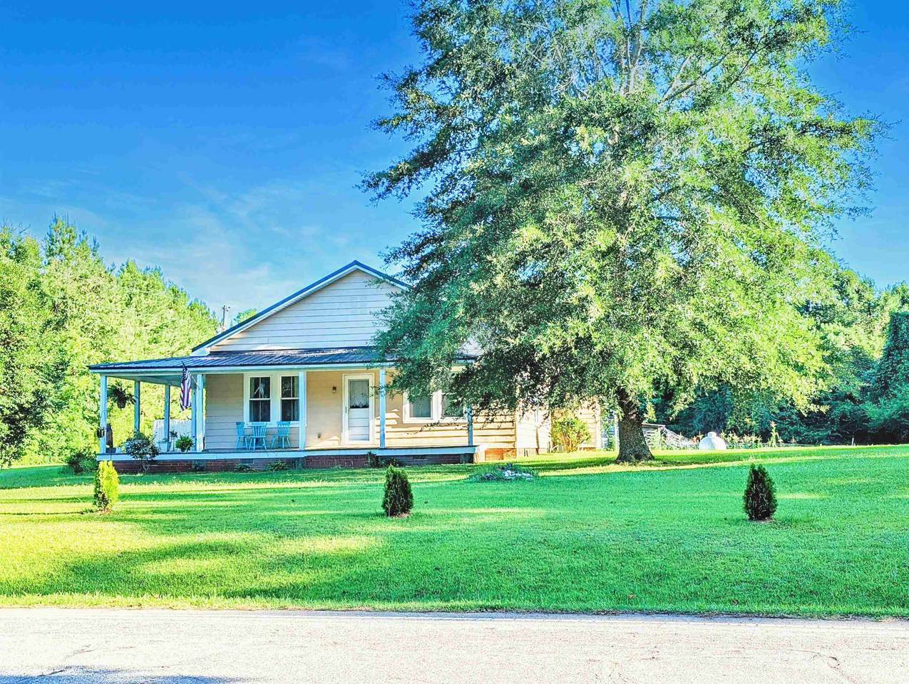 22 Hamill Road - Photo 1