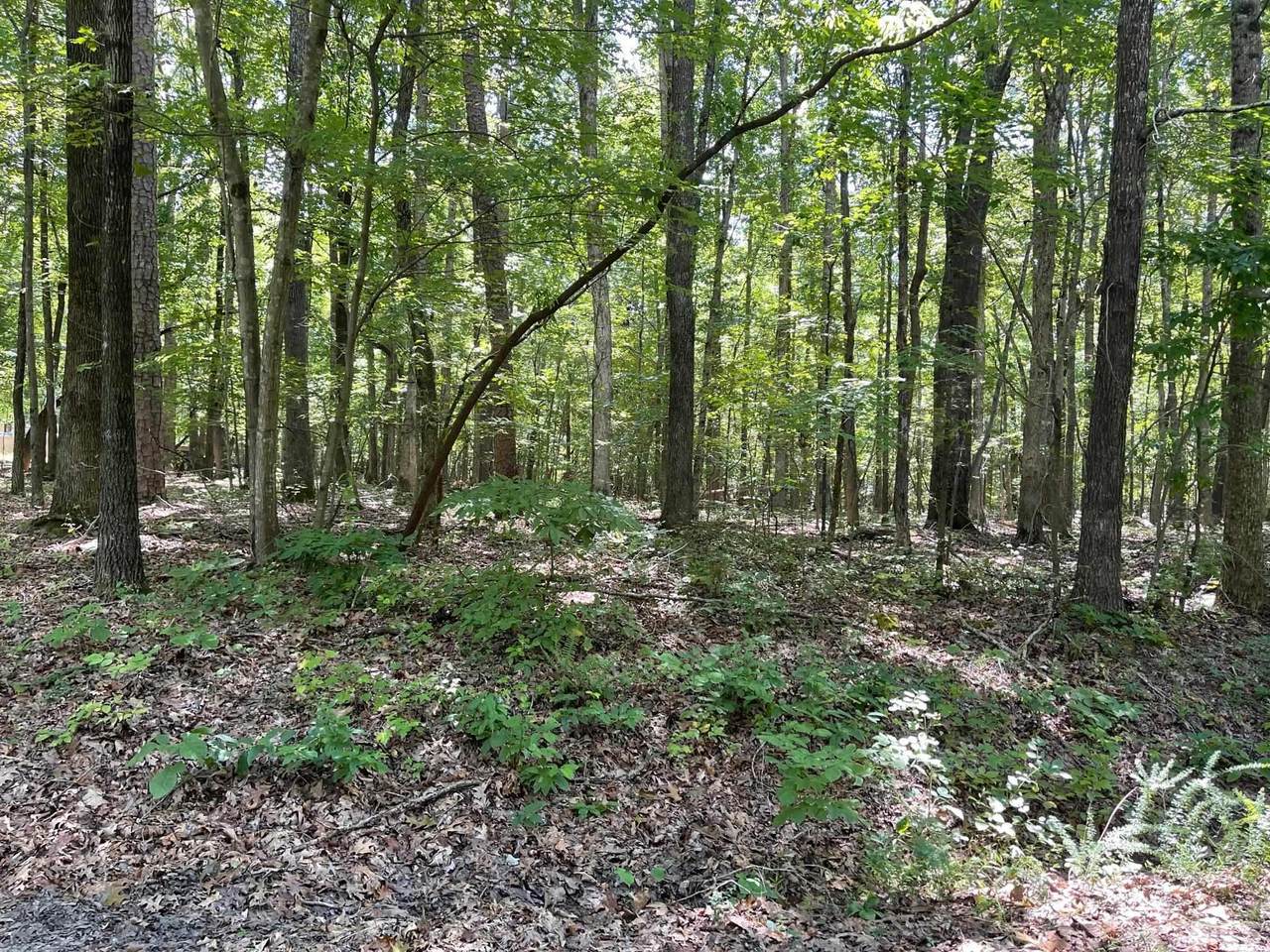 Lot 2 Crossroads Church Cemetary Road - Photo 1