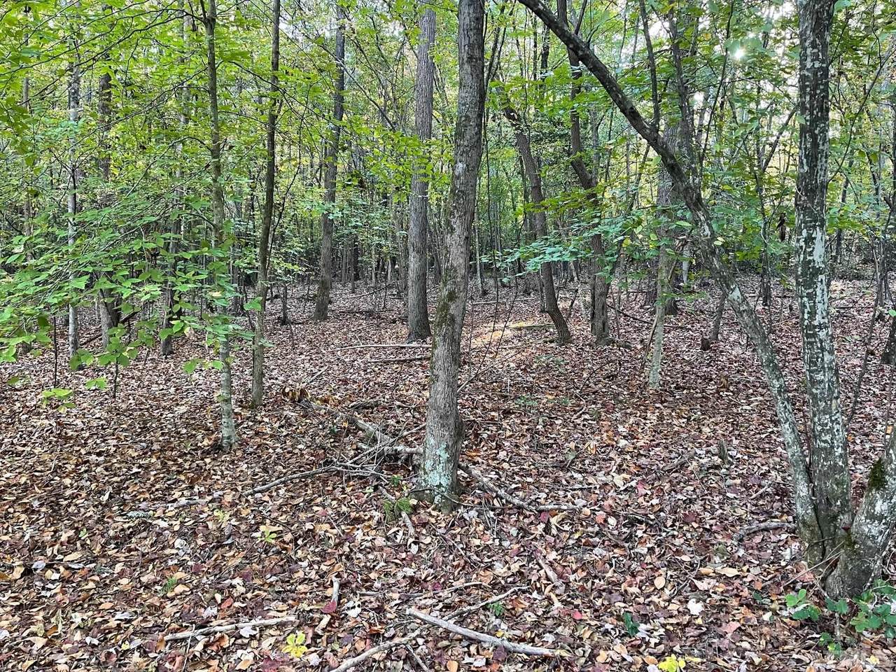 Lot E Mt Olive Church Road - Photo 1
