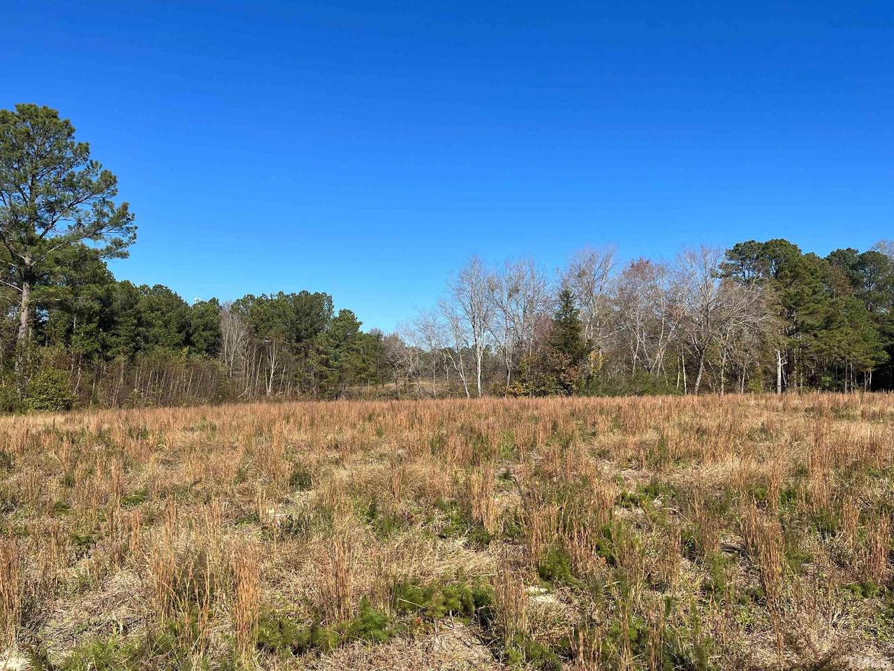 9637 Earpsboro Chamblee Road - Photo 1