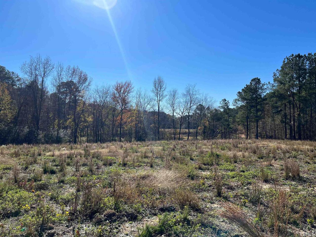 0 Earpsboro Chamblee Road - Photo 1