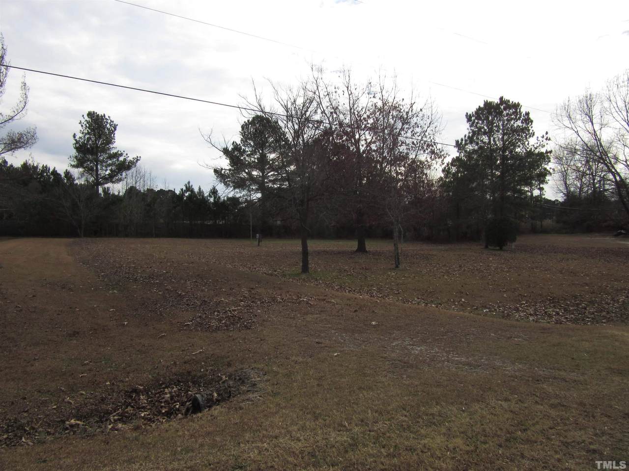 3616 Louisbury Road - Photo 1