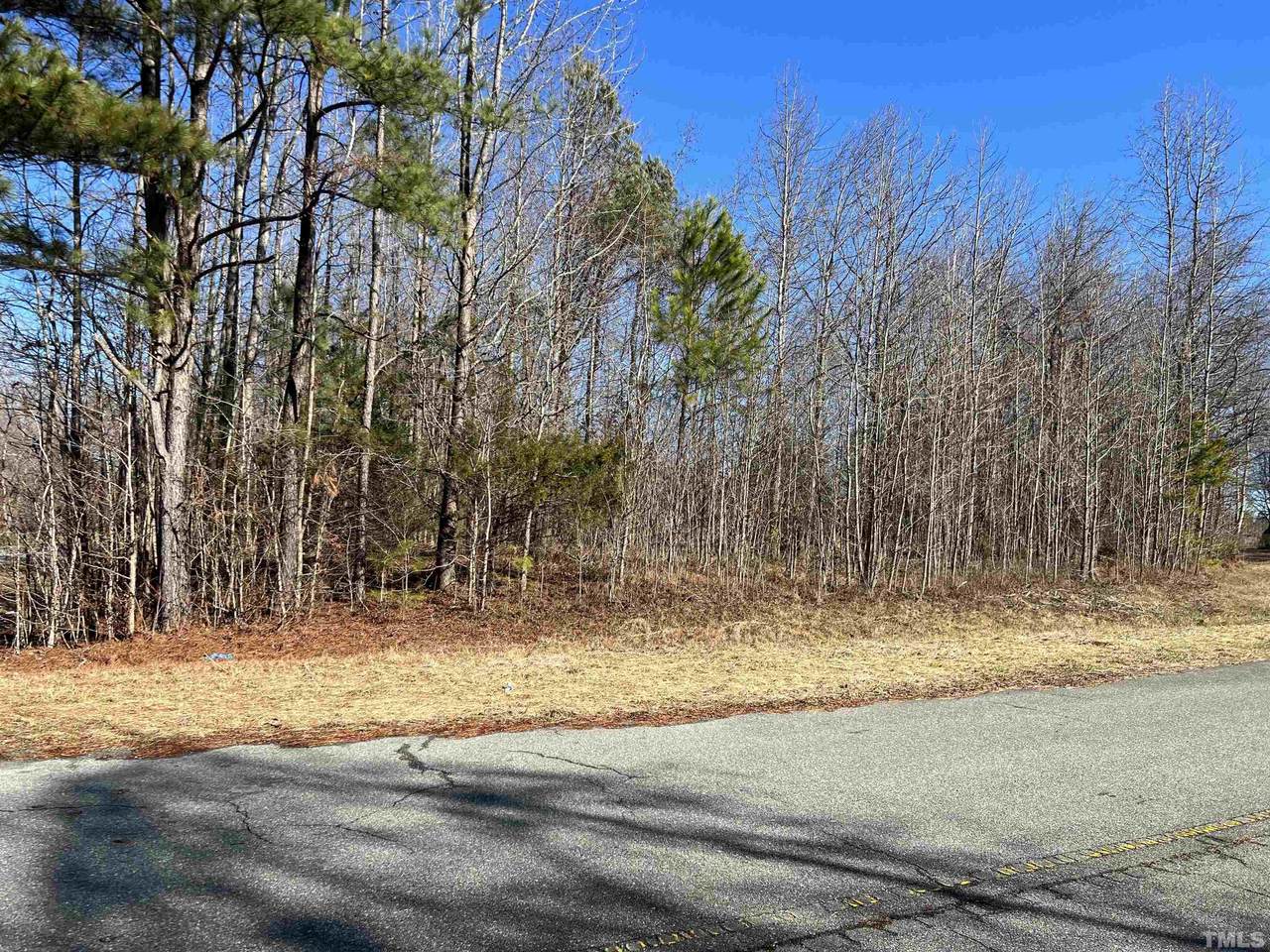 0 Service Road - Photo 1