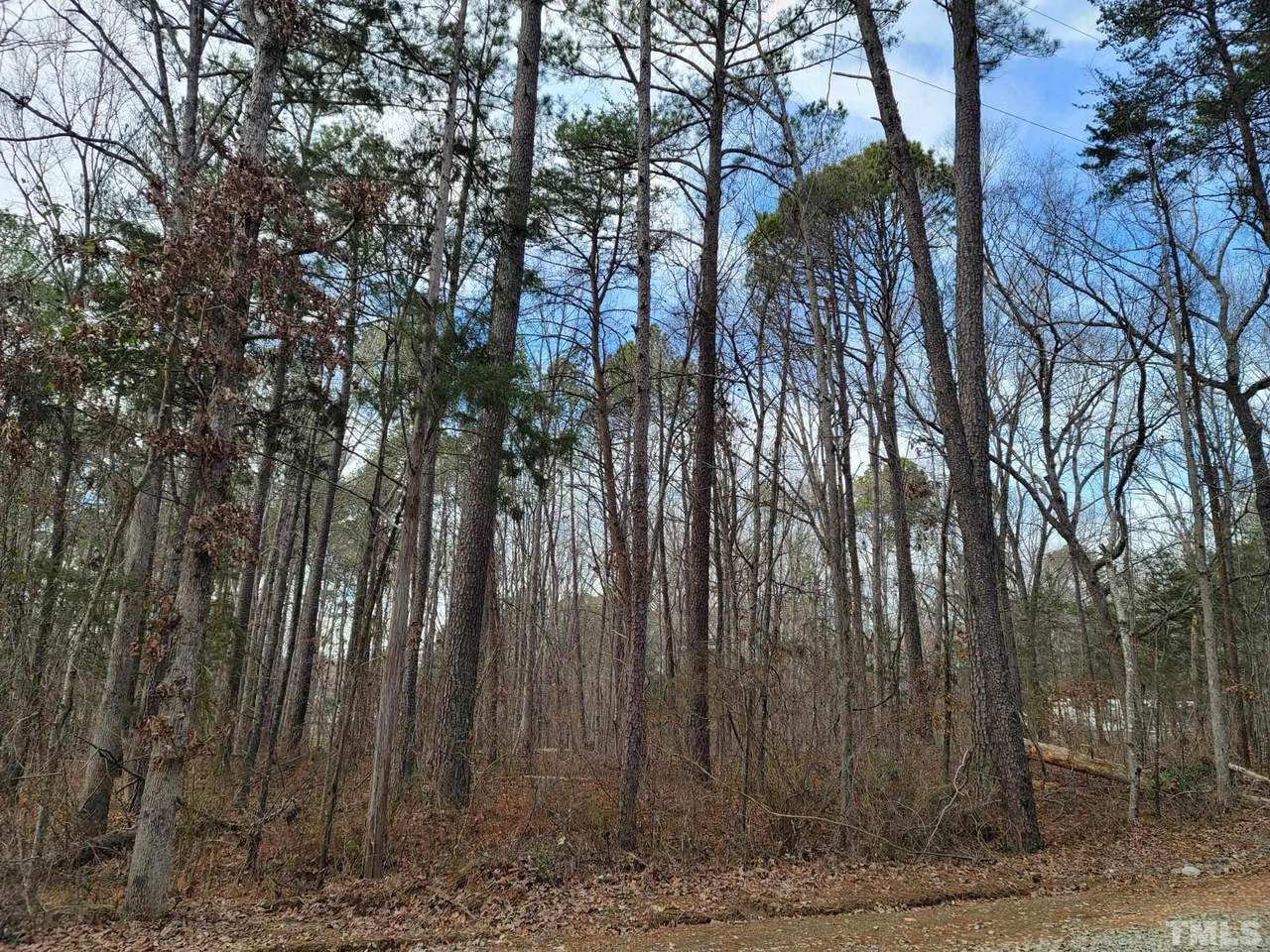 Robert Alston Jr Drive - Photo 1