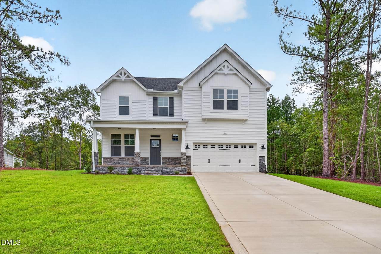 125 Omie Branch Lane - Photo 1