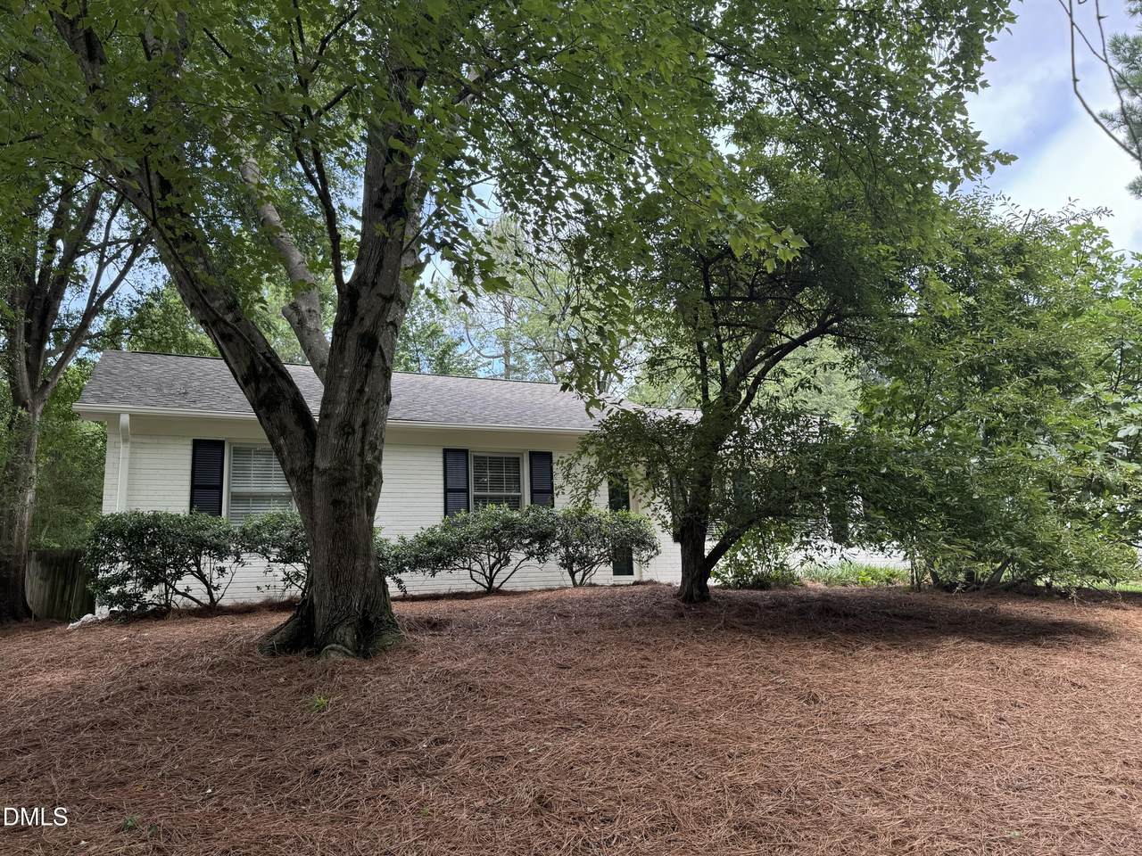 3516 Peach Haven Court - Photo 1