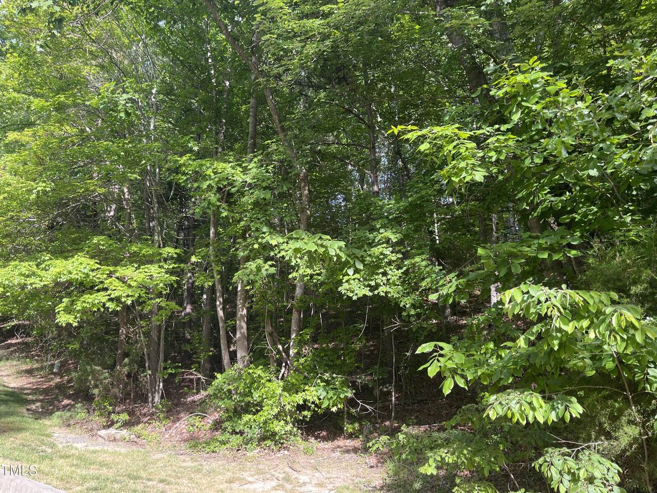 70011 Morehead - Photo 1