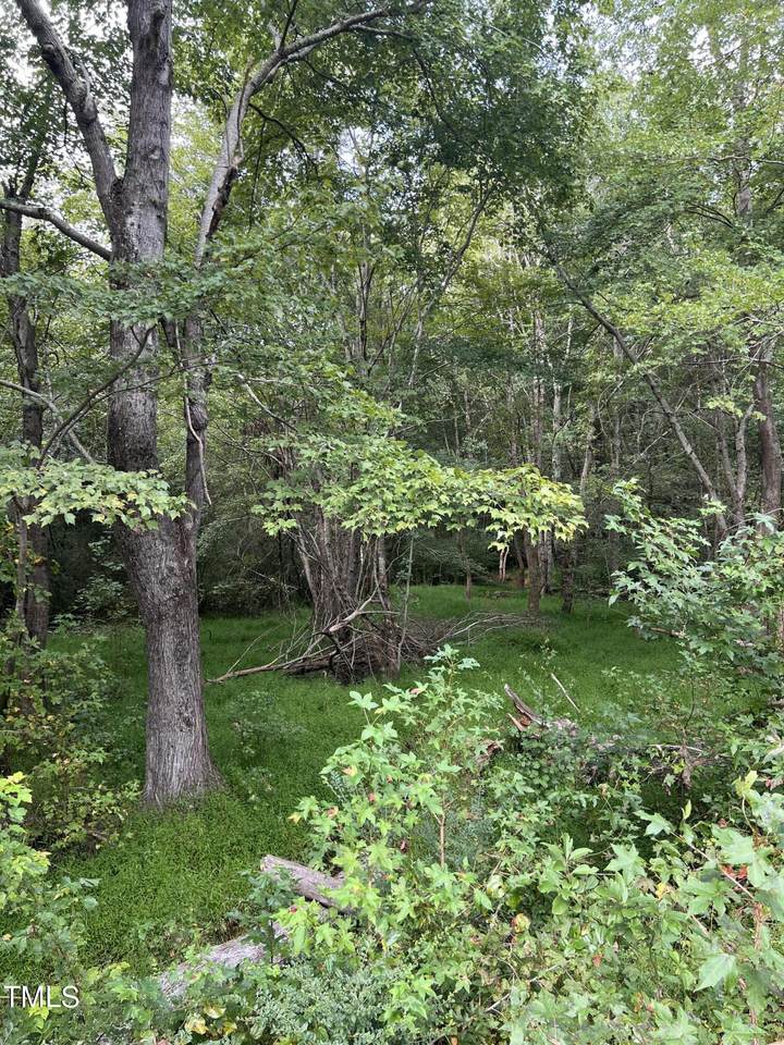 Lot 3 Us 264A - Photo 1
