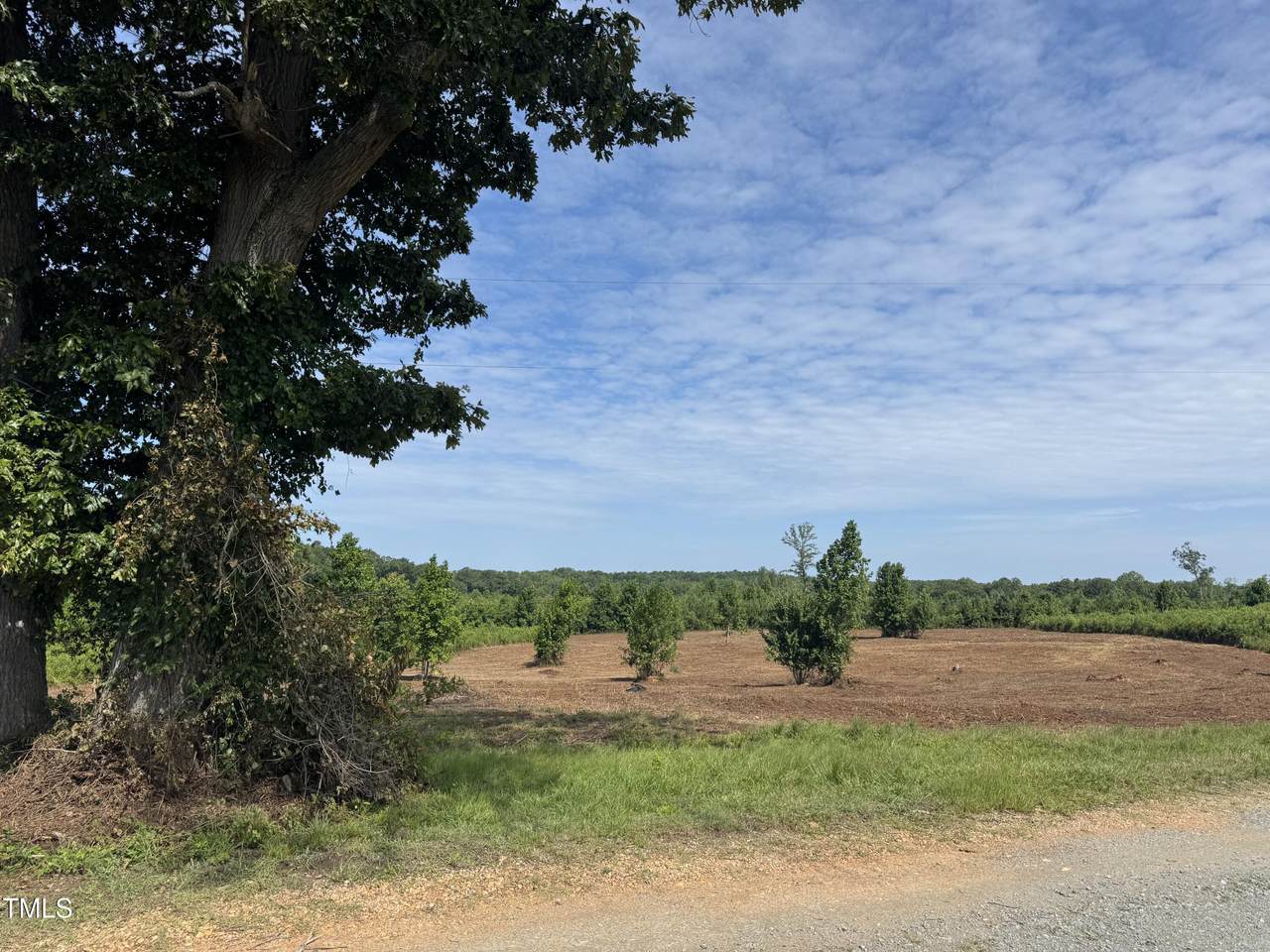 9485 Lot 7 Nc 39 Hwy - Photo 1