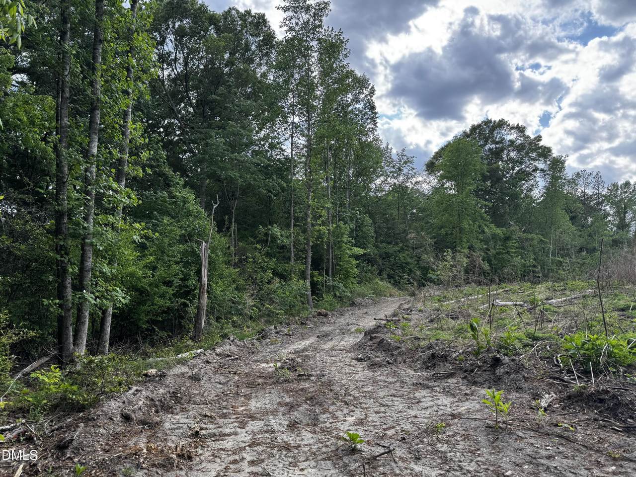 https://bt-photos.global.ssl.fastly.net/tmls/1280_boomver_2_10094082-2.jpg