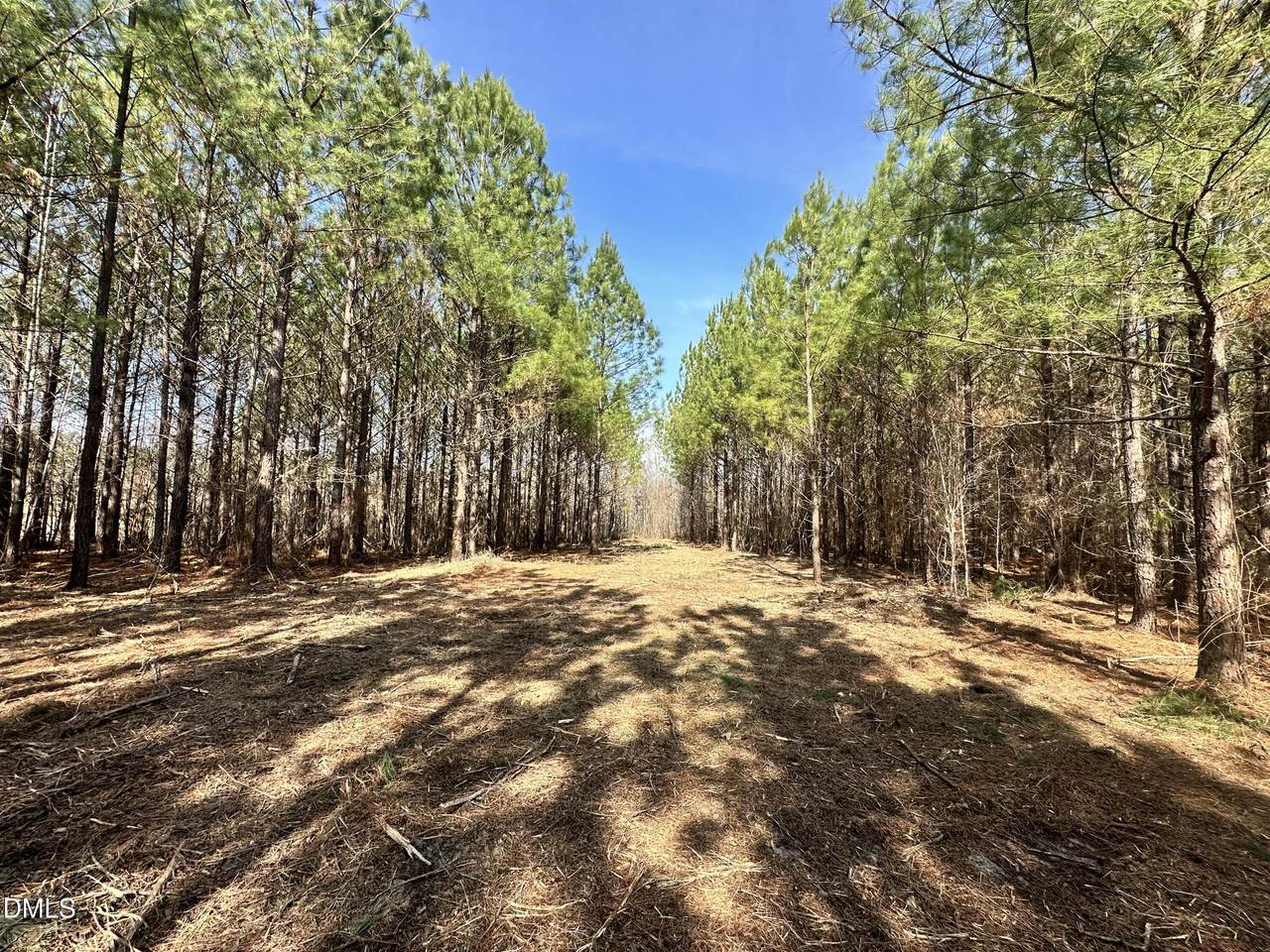 18.2 Acres Range Road - Photo 1