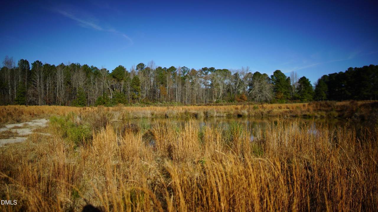 111 Old Wagon Lane - Photo 1