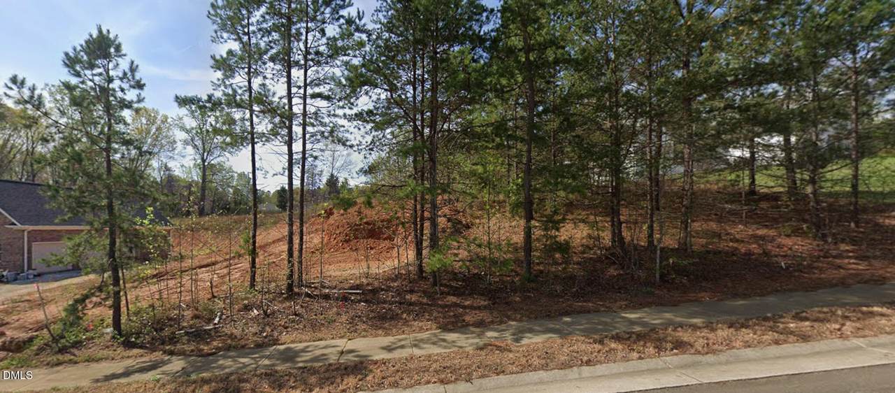 7442 Birchbend Lane - Photo 1