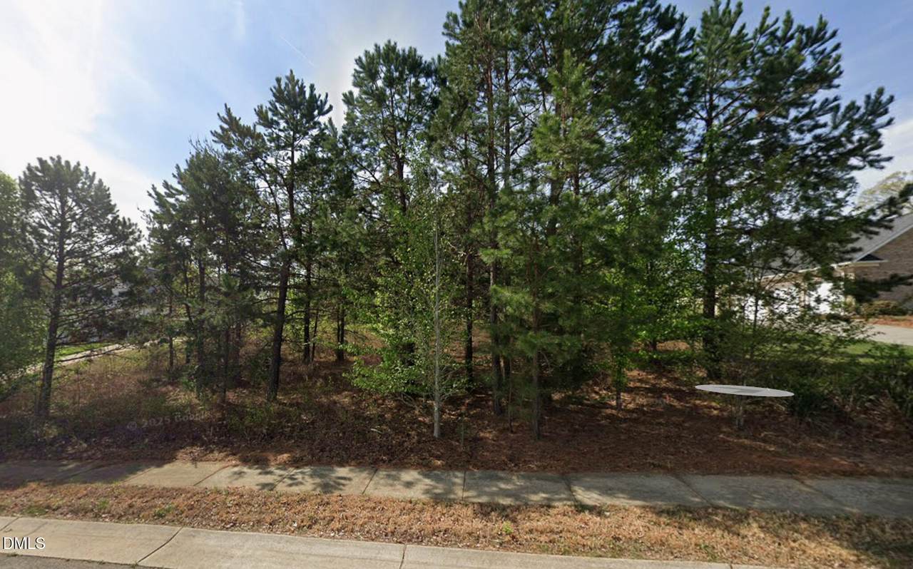 7474 Birchbend Drive - Photo 1