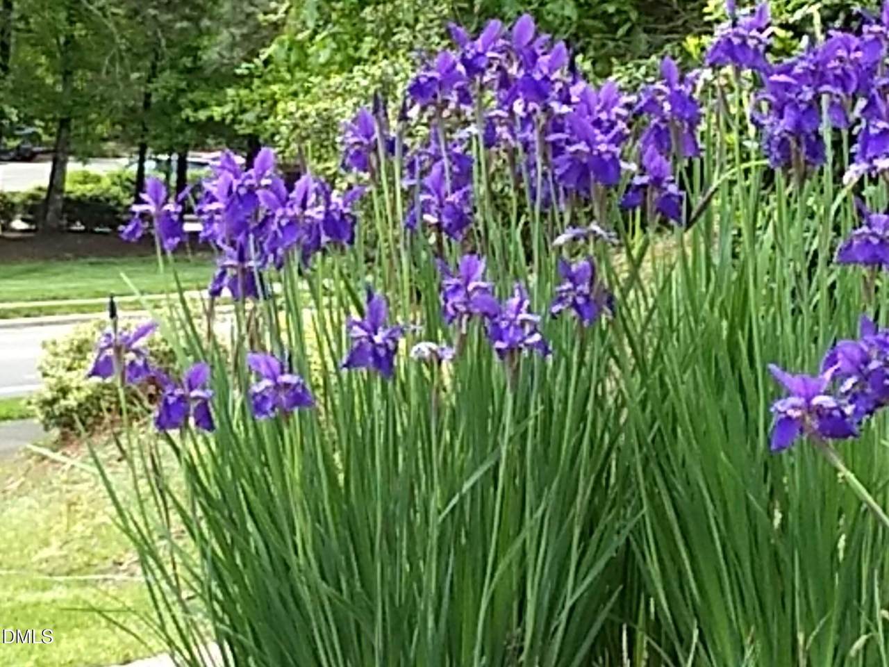 1114 Arborgate Circle - Photo 1