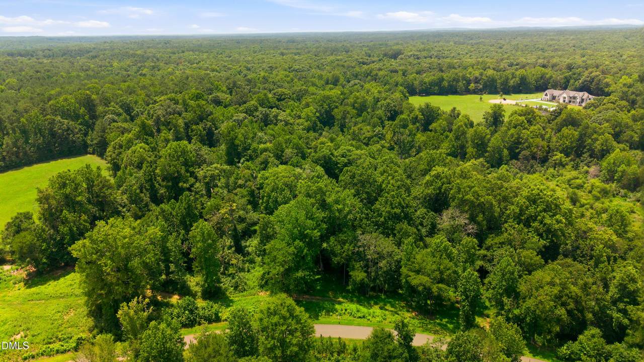 Lot 11 Gallant Fox Crossing - Photo 1