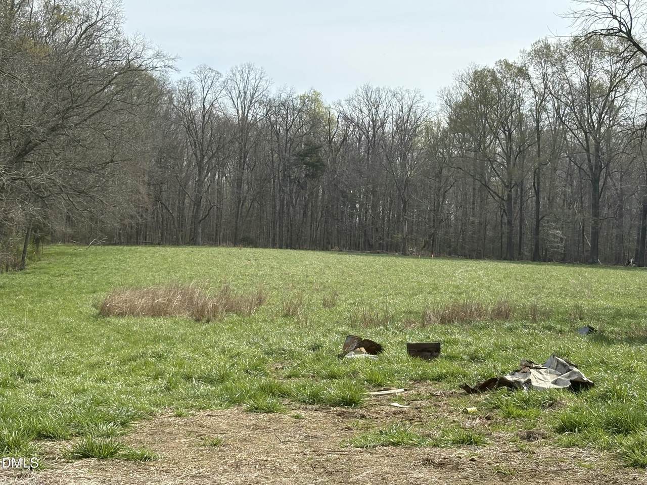 Lot 2 Winfred Brady Road - Photo 1