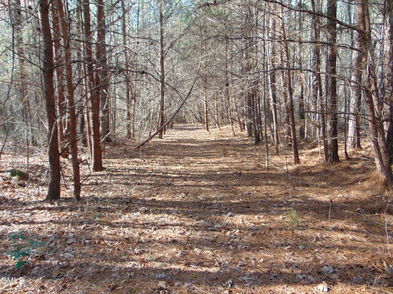 https://bt-photos.global.ssl.fastly.net/tmls/1280_boomver_2_10151580-2.jpg