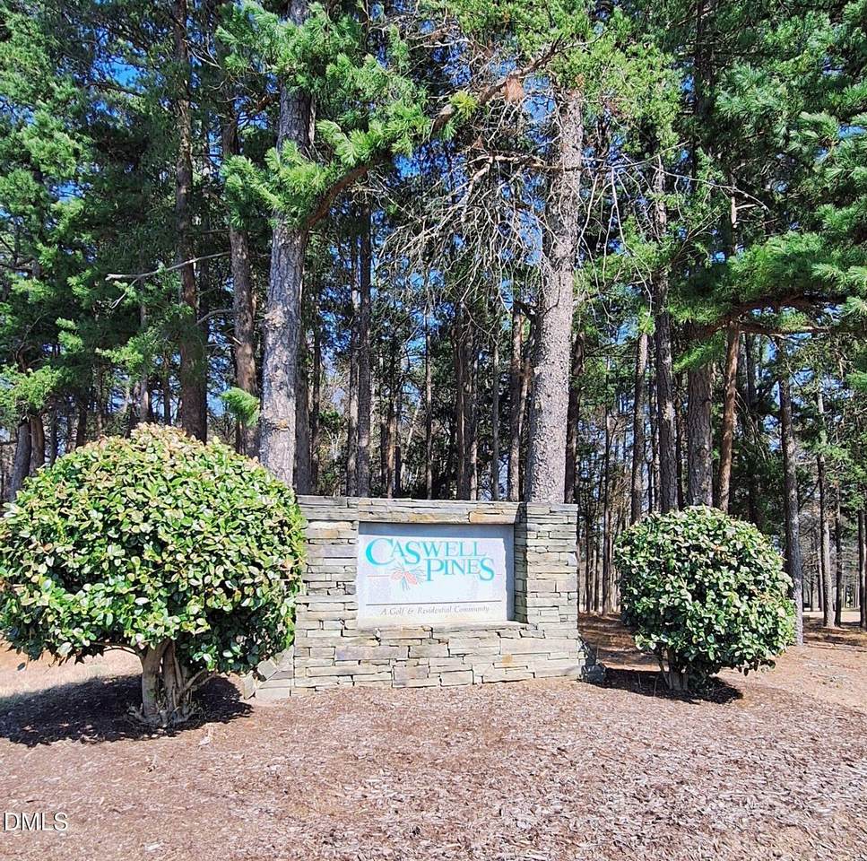 54 Caswell Pines Clubhouse Drive - Photo 1
