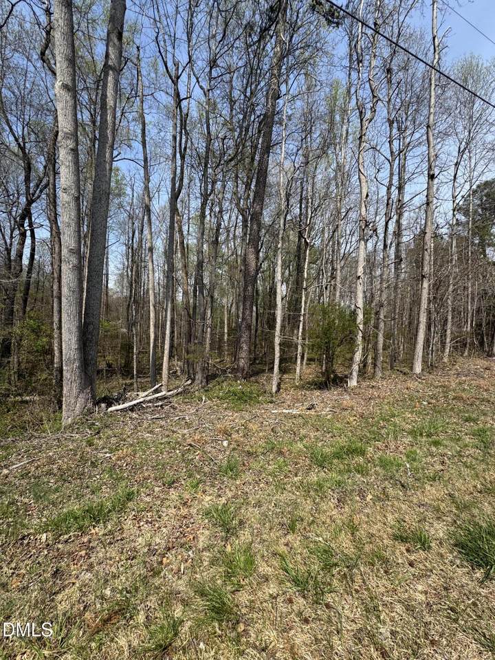 0 Hurdle Mills Road - Photo 1