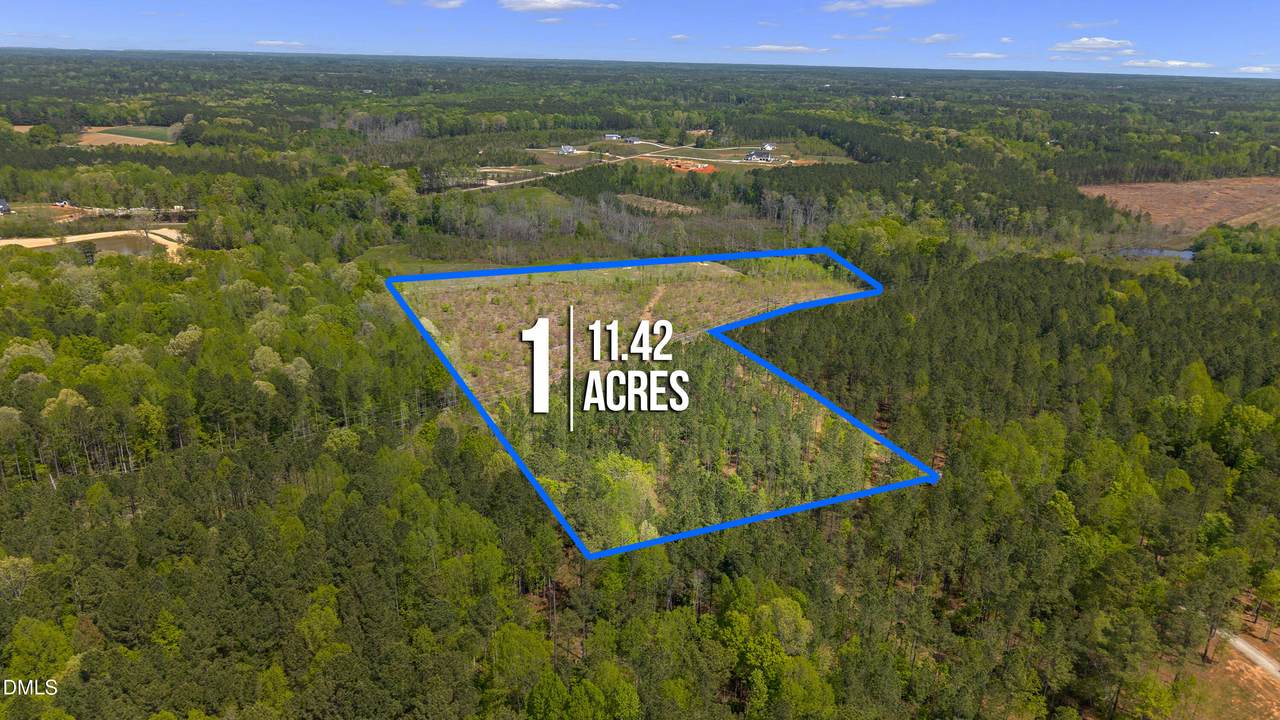 11.42 Acre Social Plain Road - Photo 1