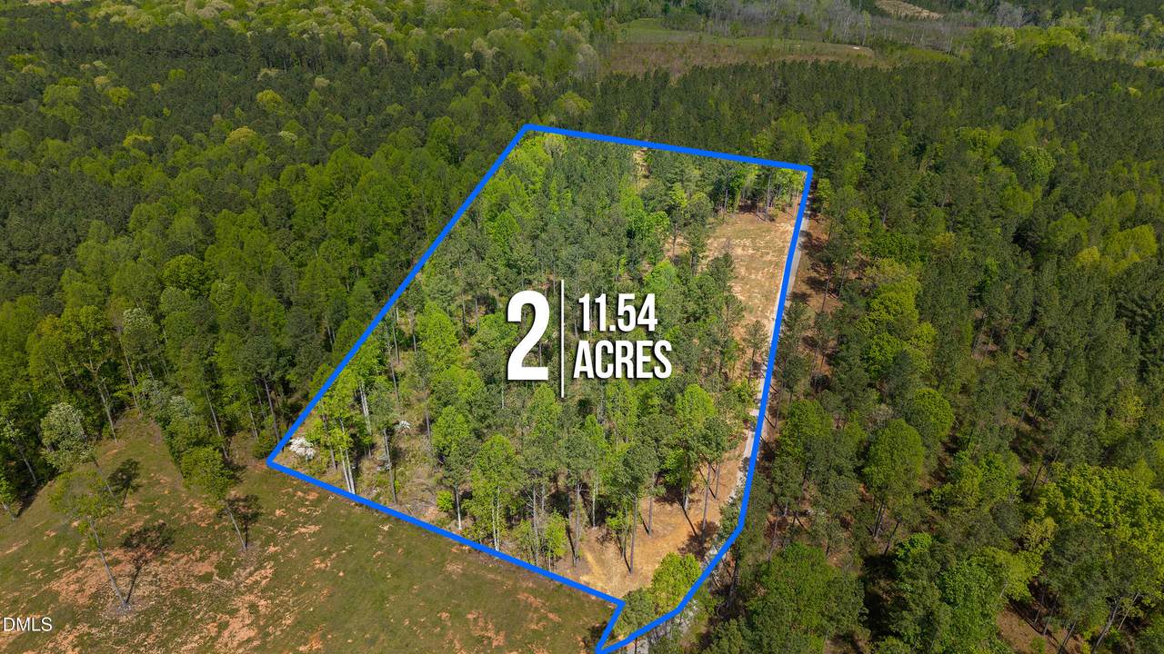 11.54 Acre Social Plain Road - Photo 1