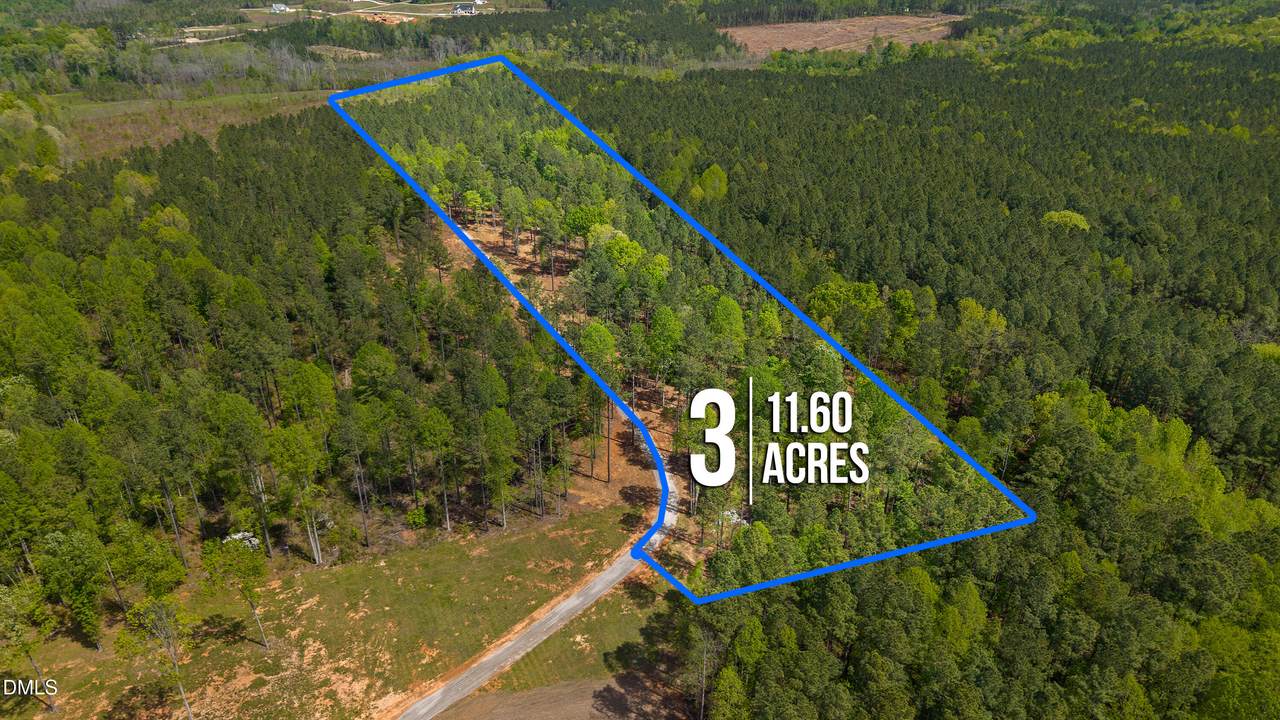 11.6 Acres Social Plain Road - Photo 1