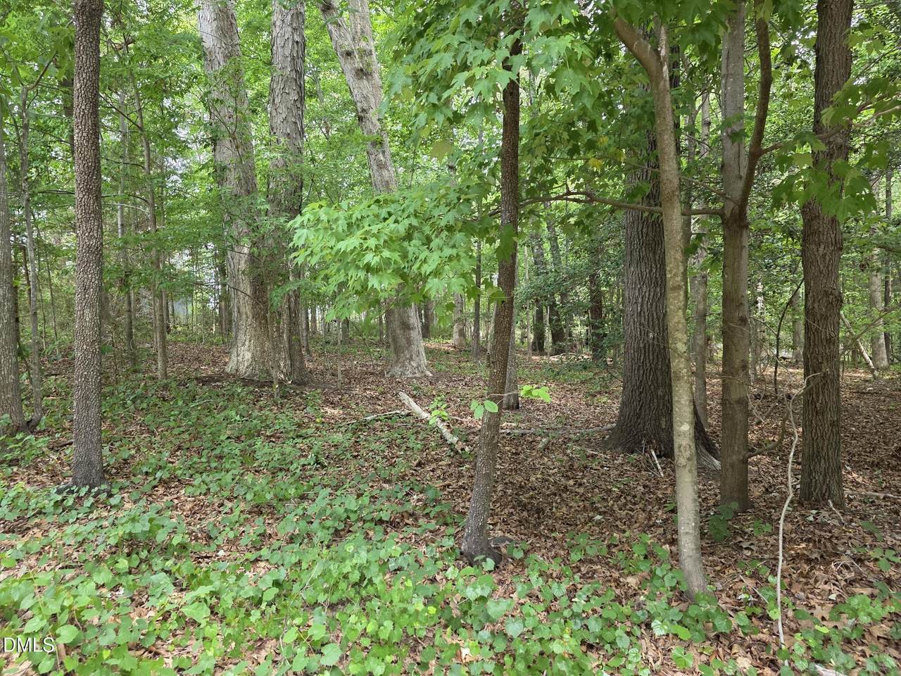 4901 Bluebird House Lane - Photo 1