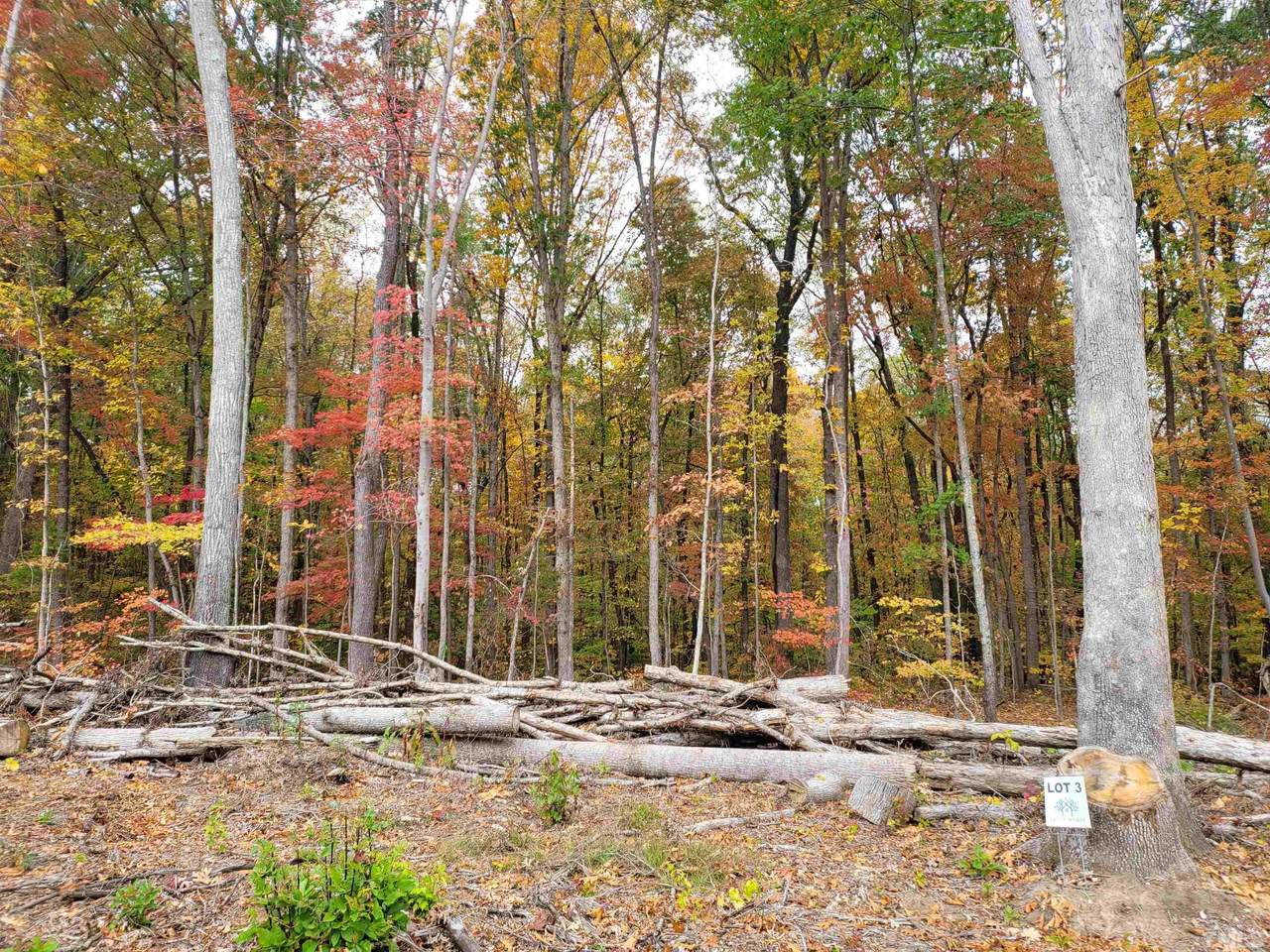 Lot 3 Loftis Loop Road - Photo 1