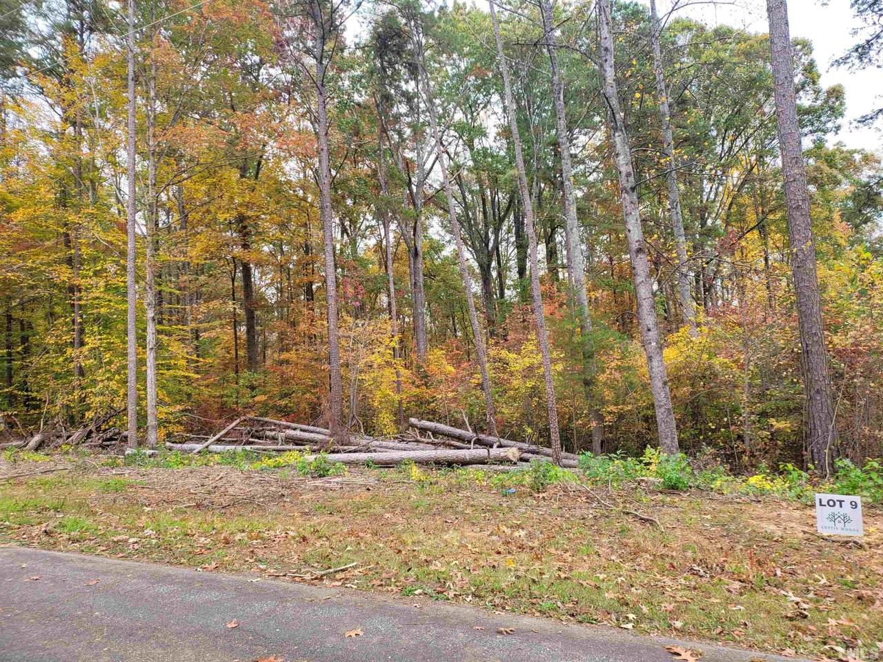 Lot 9 Loftis Loop Road - Photo 1