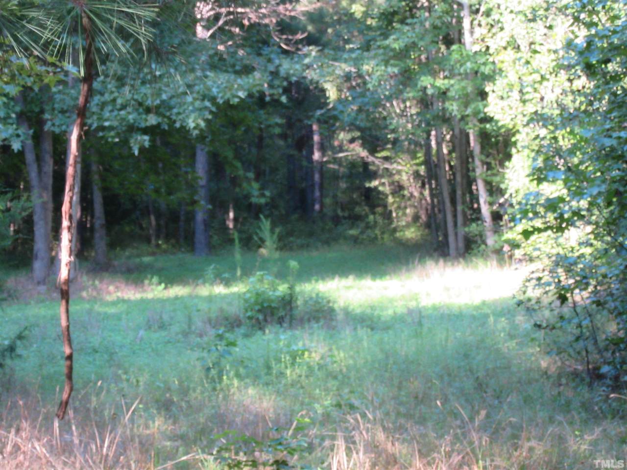 20.79 Acres Old Us 64 Highway - Photo 1