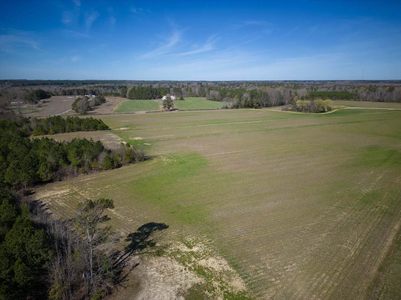 0 Cherry Tree Road - Photo 1